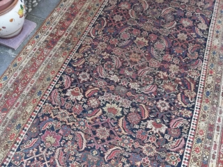 427 x 175 is the size of this antique BIDJAR in fair condition.
This is a Persian kordi important Bidjar kelley.
Beautiful design and natural dyes. All wool.
Antique piece knotted around the last quarter  ...