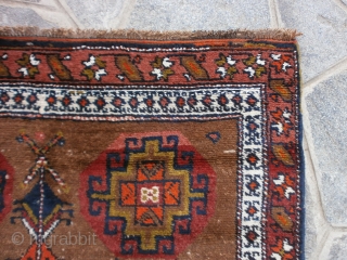 Carpet # 251 * Size   cm.  287 x 115.
AZERBAYDJAN MESHKIN camel-hair.
Pile, warp and weft All Wool. 

In good condition
This carpet has been Washed recently.
Moghan design gol.
Other info or pictures  ...