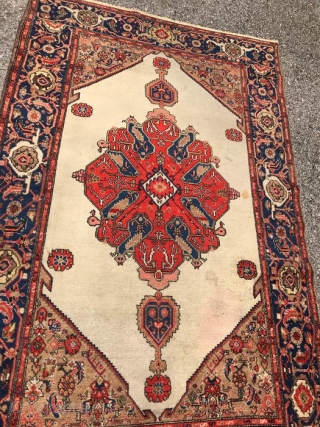 FARAHAN carpet in good condition, with original design.
Fine knot and shiny dyes. Old piece in very good condition
ALL original size, ends and selvedges.
This carpet has not been washed, at present.
Size  cm.  ...