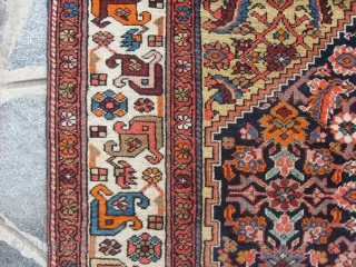 288 x 150 cm is the size of this antique BIDJAR-Kurdi. Knotted very fine.
Bejinning XX century. Perfect conditions, and very beautiful colours.
All original antique persian piece.
====  THIS PIECE HAS BEEN SOLD  ...