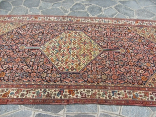 288 x 150 cm is the size of this antique BIDJAR-Kurdi. Knotted very fine.
Bejinning XX century. Perfect conditions, and very beautiful colours.
All original antique persian piece.
====  THIS PIECE HAS BEEN SOLD  ...