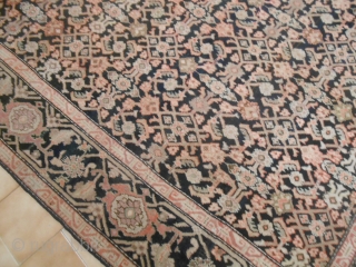 245 x 176  cm is the size of this KARABAGH.
Antique CAUCASUS Karabagh heraty in very good condition.
Fine knot for this piece antique.
Other info or photos of this antique piece on requet.

WARM  ...