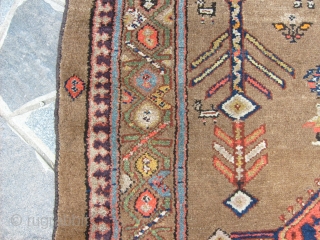 SIZE:   333 x 134  cm. = ft.  9.51 x 4.40.
Very good condition for this antique carpet knotted in ECBATANA.
Wool on wool and all natural dyes.
No stains, no repils,  ...