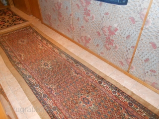 4 x 1 m. is the size of this antique Persian carpet khotted around 1900/1910 in
the region of serabend. Camel hair and beautiful color and very very good the
condition of this runner.  ...