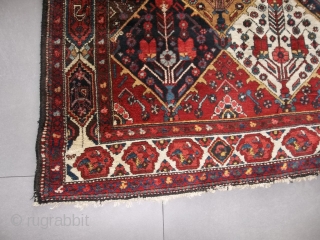Oriental antique carpet knotted in the Chahar-Mahal-va-Bachtyari.
It is an armenibaff  Bachtyar. Very good condition. All natural 
dyes, full pile. Only the two ends have not been fixed.
NO holes, or stains or  ...