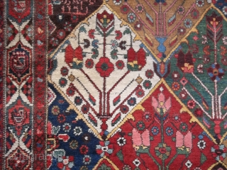 Oriental antique carpet knotted in the Chahar-Mahal-va-Bachtyari.
It is an armenibaff  Bachtyar. Very good condition. All natural 
dyes, full pile. Only the two ends have not been fixed.
NO holes, or stains or  ...