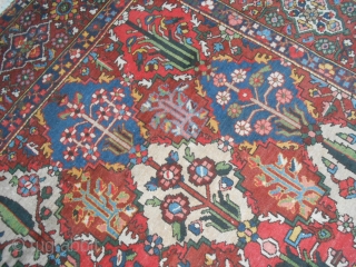 Chahar Mahal-va-Bachtyari is the region of Persia which the carpet has been knotted.
Fine knot and great fastened color for this old panels nomadic carpet Bachtyar.
This piece is in very good condition (full  ...