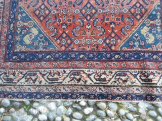 193x125 cm. Antique very fine knot Serabend in very good condition.
All natural dyes and shiny wool for this Hamadan distric carpet.
More info, price and photos on request.
GREETINGS   from  COMO  ...