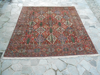 cm 355x328 is tha size of this Chahar Mahal -va-Bachtiari carpet.
Thia panels carpet is in very good condition, washed and ready
for domestic use. Vegetal dyes and fine knot for this one.
Other info  ...