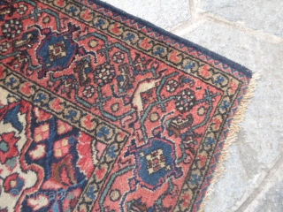 Borchalu Hamadan district persian carpet in very, very good condition.
Full pile, without problem. Washed and ready for domestic use.
200 x 148 cm  is the exact size of this carpet.
Has been exported  ...