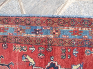A pair of antique Persian Saraab in full pile. Washed and ready for use.
Very original pieces....a pair is not usually to take on the market.
More info and pictures on request. All the  ...