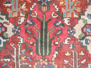 3.35 x 3.38 m. Persian Bachtyar in very good condition. Original and rare site
for this one. Shiny wool and fine knot for this Chahar Mahal. Has been washd.
Panel design and natural dyes.  ...