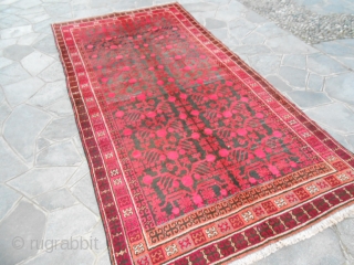 347 x 173 cm
Antique oasi of XINJIANG, design pomegranades.
In perfect condition, shiny wool.
Carpet knotted in the East-Turkestan, Yarkand oasi.
Fastened colorus.
More pictures on request, thanks!
GREETING from COMO lake.      