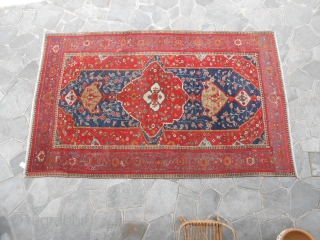 Size   cm. 322 x 221 cm.
Piece in good condition, full pile.
Antique MALAYER-FARAHAN with a very beautiful design.
Important size for this FERAGHAN fine and antique.
All original. More info and photo on  ...