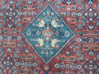 Antique extra fine knot carpet knotted in the Persian
district of SERABAND. 
All original piece in very good condition. Shiny wool.
Other info or photos on request.

WARM GREETINGS   from COMO ! .
Maurice 