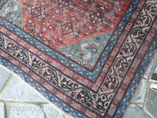 Antique extra fine knot carpet knotted in the Persian
district of SERABAND. 
All original piece in very good condition. Shiny wool.
Other info or photos on request.

WARM GREETINGS   from COMO ! .
Maurice 