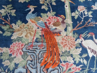 203 x 133 cm for this antique Chinese region of GANSU. Shiny wool and very beautiful blue-china for this piece with the dessing of the Phoenix. Perfect contidion without
repils or restors; washed  ...