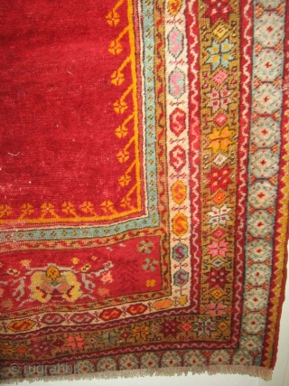 Antique prayer rug knotted around Kirshir village of central Turkey-Anatolia.
Good condition, some areas of pile damaged. Washed professionally. Size cm
149 x 98  cm. More info or photos on request.
REGARDS  from  ...