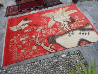 Ancien KHOTAN-UIGHUR in very good condition,
original size, full pile without restors.
Design the KING of the birds.
Great wool and wonderfull color has this carpet.
Size cm 261 x 170 cm.
More info and photos on  ...