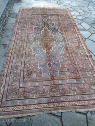 Oasi of KASHGAR XINJIANG region of East-Turkestan.
In perfect condition with size m. 3,85 x 2,02.
Original soft colors for this Samarkand ancien.
Shiny and velvelty wool for this palace carpet.
More info and pictures on  ...