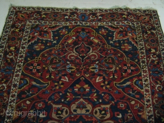 Persian Bakhtiyari Rug 197x138cm Circa 19th                           