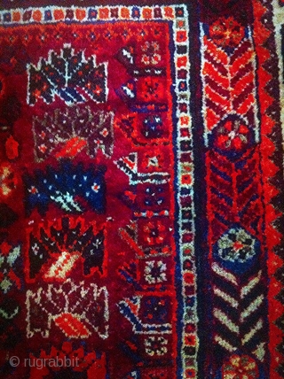 This is a quite old Qashqai rug (also known as Shiraz). It comes in 260 * 164 cm. Shiny natural dyes and excellent condition except for some damages by moth on the  ...