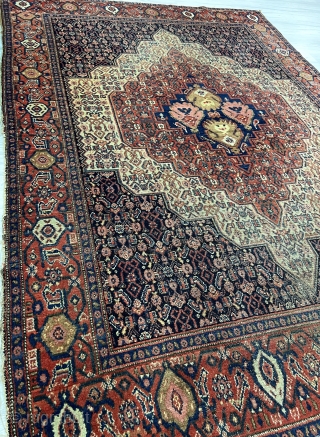 Antique Senneh Rug with unusual madelion. Perfect colors and good shape. Collectible piece! Circa 1900
Size : 190x135cm /  6’2” x 4’5” 
Shipping worldwide available.        