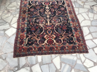 Iğran Avşar rug 
Size 140x114
mehmetkonukcu68@gmail.com                            