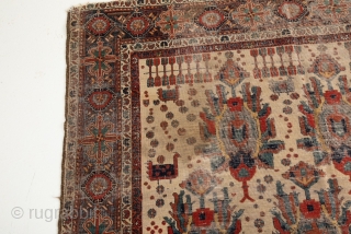 Avsar rug..Superb colours It is a pity not in a good condition.. Circa 130 years..
SIZE  190X145 cm..               