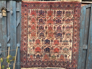 AVSAR Rug ... Superb colors in good condition... 125x145                        