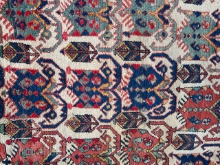 AVSAR Rug ... Superb colors in good condition... 125x145                        