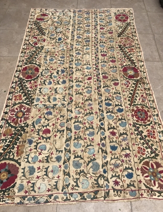 Antique 19.th century uzbek bukhara Suzani 

Size : 225 cm x 130 cm

Fast shipping worldwide 

Thank you visiting for my shop :)           