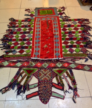 Turkoman for camel

Size: 210 cm X 150 cm                         