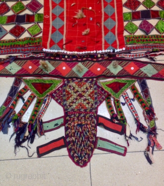 Turkoman for camel

Size: 210 cm X 150 cm                         