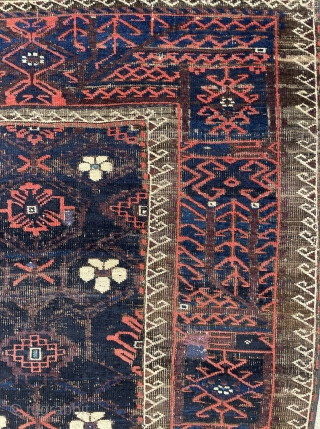 Baluch Rug with Mina khani pattern and a crazy main border, small highlight of cotton in white and light blue - 3'4 x 5'9 - 102 x 175 cm -   