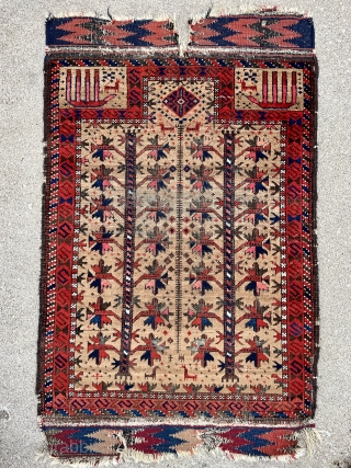 Baluch Prayer Rug with tree of life pattern on a camel ground with beautiful saturated colors - In my experience this is one of the best of type!     