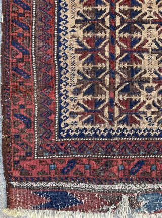 Camel field Baluch Prayer Rug - 34" x 55" - 86 x 140 cm                   