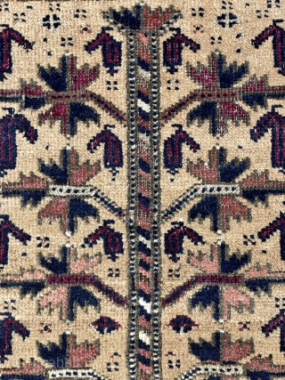 Baluch Balisht - late 19th c. - 21" x 34" - 53 x 87 cm                  