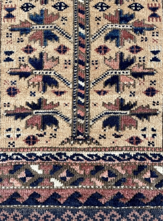 Baluch Balisht - late 19th c. - 21" x 34" - 53 x 87 cm                  