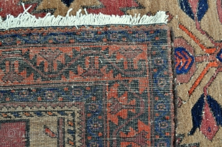 Baluch rug with Camel ground - 3'5 x 5'7 - 104 x 169 cm.                   