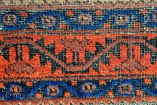 Baluch rug with Camel ground - 3'5 x 5'7 - 104 x 169 cm.                   
