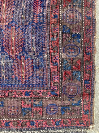 Early & Rare Timuri Baluch Prayer Rug with minute silk highlights, no repairs, deep saturated colors, signs of wear consistent with use as a prayer rug - 3'6 x 4'9 - 110  ...