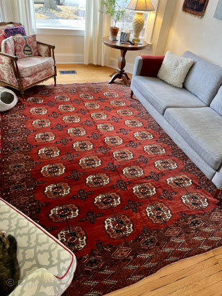 Turkmen Kizilayak Main carpet in great condition with velvety wool pile and tight weave. About 6’6 x 9’9 - 2 x 3 m. email yorukrugs@gmail.com - priced reasonably     