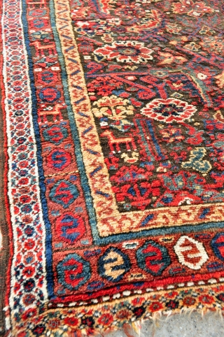 19th c. Northwest Persian Sauj Bulagh rug with thick/glossy pile, nice variations of motifs in the main border, some corrosion in the brown field, in original as found condition, no repairs, dirty  ...