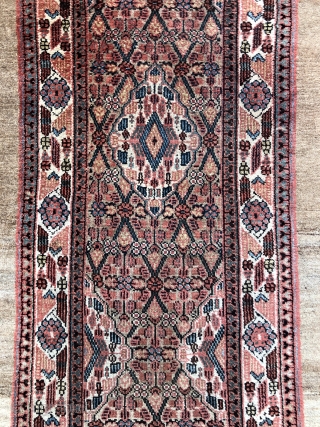 Antique Camel Hamadan Sarab runner in great original shape, no repairs - 3'0 x 13'10 / 92 x 424 cm.             