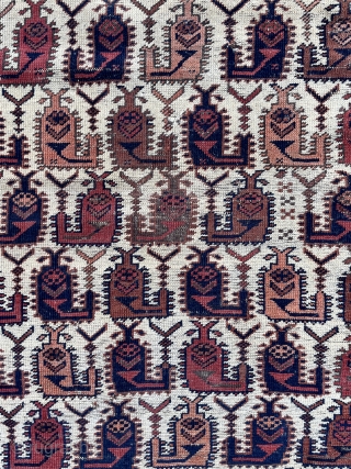 Fine Baluch Rug on rare ivory ground - Is it Boteh, is it Scorpion, well I actually think it is Shahmaran - see extra pictures! - 2'10 x 3'9 - 88 x  ...