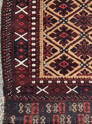 Camel field Baluch with “snow flake” design, excellent wool and saturated colors, tight weave and rare sumak skirts! - 3’2 x 5’8 - 98 x 177 cm.      