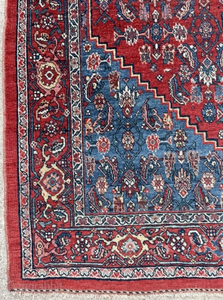 Fine Bidjar Rug with great colors on wool foundation and good condition - no repairs - 4'4 x 7'4              