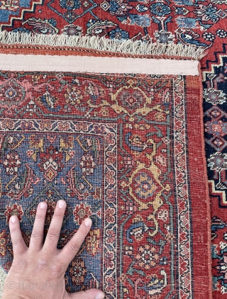 Fine Bidjar Rug with great colors on wool foundation and good condition - no repairs - 4'4 x 7'4              