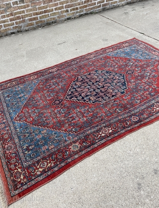 Fine Bidjar Rug with great colors on wool foundation and good condition - no repairs - 4'4 x 7'4              